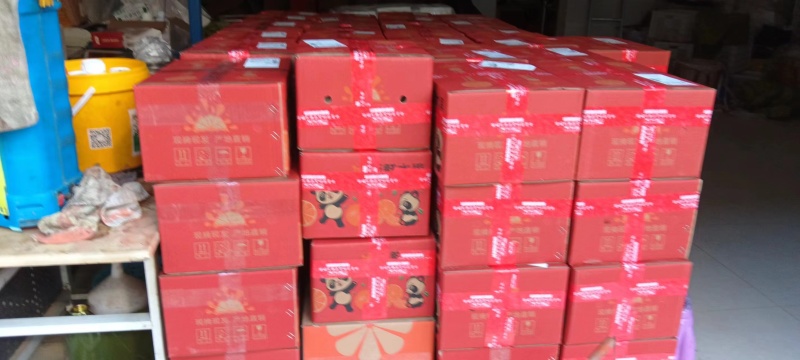 【精品】四川春见柑桔，耙耙柑，现摘现发可发全国，量大从优