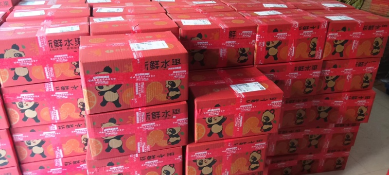 【精品】四川春见柑桔，耙耙柑，现摘现发可发全国，量大从优