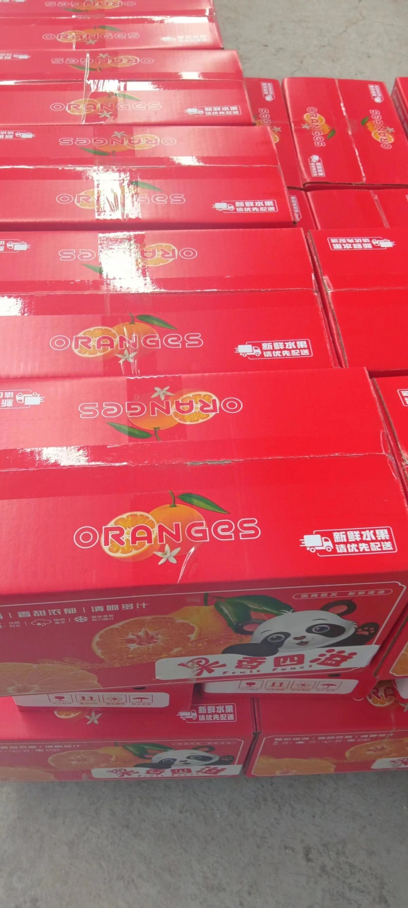 【精品】四川春见柑桔，耙耙柑，现摘现发可发全国，量大从优