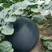 A级黑老大黑皮红瓤无籽西瓜种子超甜特大巨型懒汉南北方种植