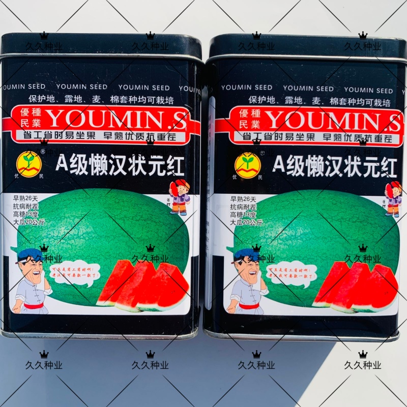 A级懒汉状元红西瓜种子特大巨型绿皮西瓜种籽抗病耐茬精选超