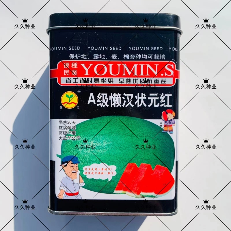 A级懒汉状元红西瓜种子特大巨型绿皮西瓜种籽抗病耐茬精选超