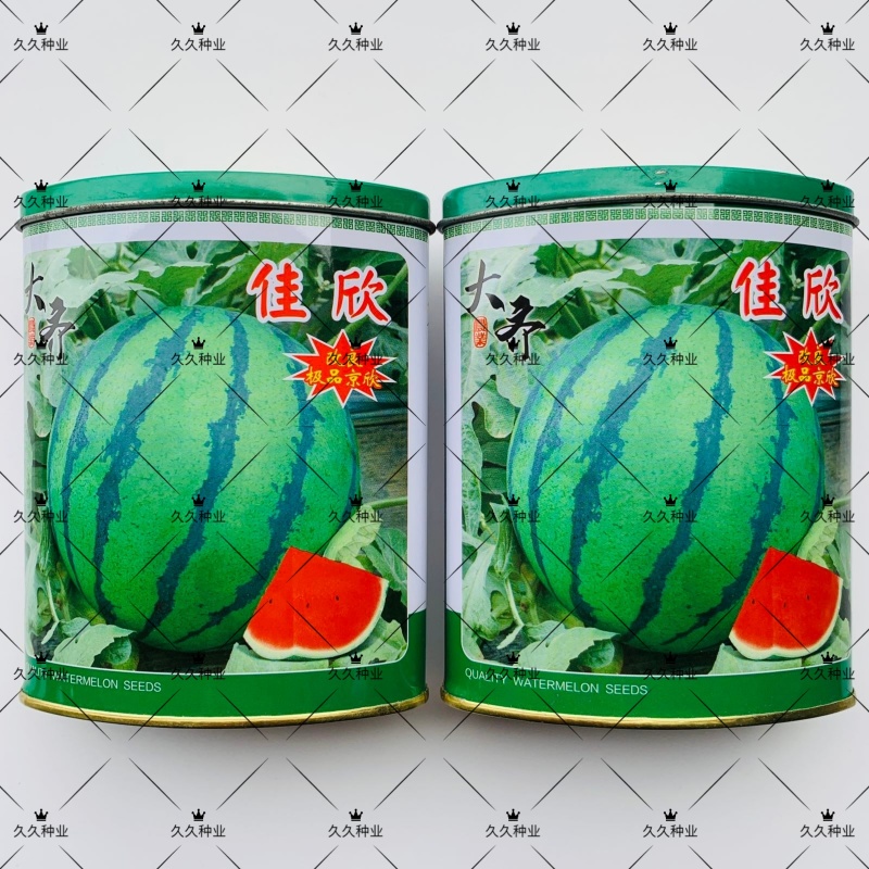 大齐佳欣(京欣)西瓜种子早熟脆红瓤抗裂耐贮运二次坐果能力