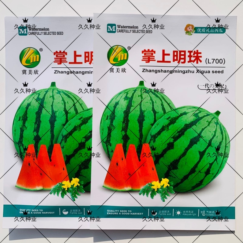 掌上明珠西瓜种子特甜早熟圆形礼品西瓜种子花皮红肉糖度高耐