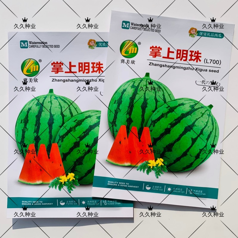 掌上明珠西瓜种子特甜早熟圆形礼品西瓜种子花皮红肉糖度高耐