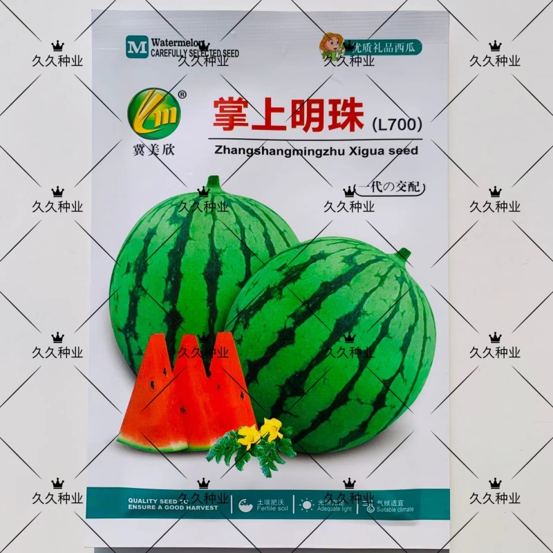 掌上明珠西瓜种子特甜早熟圆形礼品西瓜种子花皮红肉糖度高耐