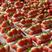 安徽阜阳天仙醉草莓种植产地一手货源价格稳定全国发