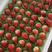 江苏邳州市港上镇万亩草莓新鲜个大口感好产地发货