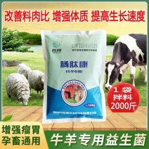 牛羊饲料添加剂改善牛羊动物肠道防止瘤胃胀气厂家直销