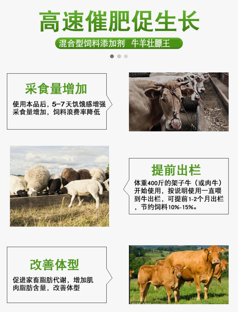 牛羊饲料添加剂改善牛羊动物肠道防止瘤胃胀气厂家直销