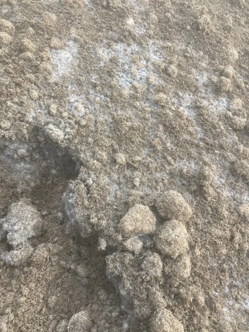【优选羊粪】产地直发货源充足量大从优欢迎选购