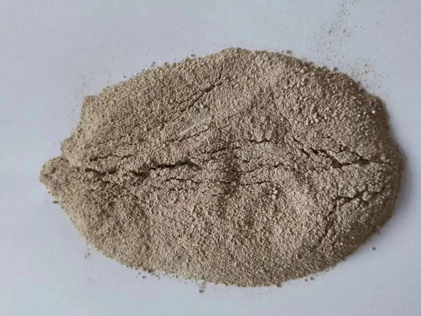 大豆加工成品展示图