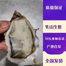 【HOT】优质供货电商，乳山生蚝，山东威海，全国价优