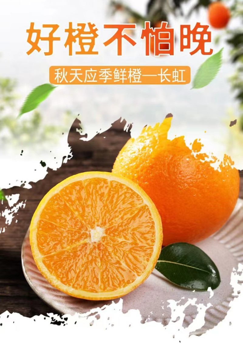 【优质货】湖北秭归长虹，纽荷尔脐橙，产地一手货源，品质保证