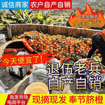 重庆《奉节脐橙》退伍老兵自产自销，看货摘果，随到随装