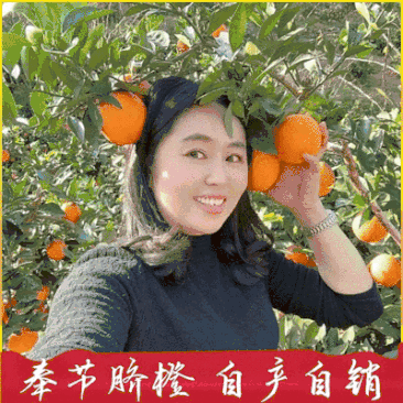 《农户自产自销》奉节橙子种植大户，保证新鲜，看货摘果