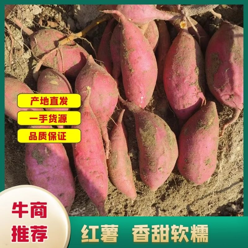 湖北大叶电商平台红皮红心支持各类包装质量保证产地直供