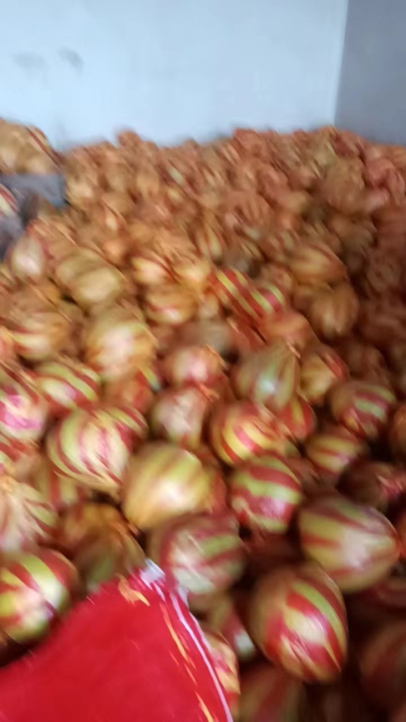 精品柚子甜度高汁水多，产地直发量大价优欢迎致电合作