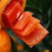 血橙四川血橙全国发货支持视频看货品质保证量大从优