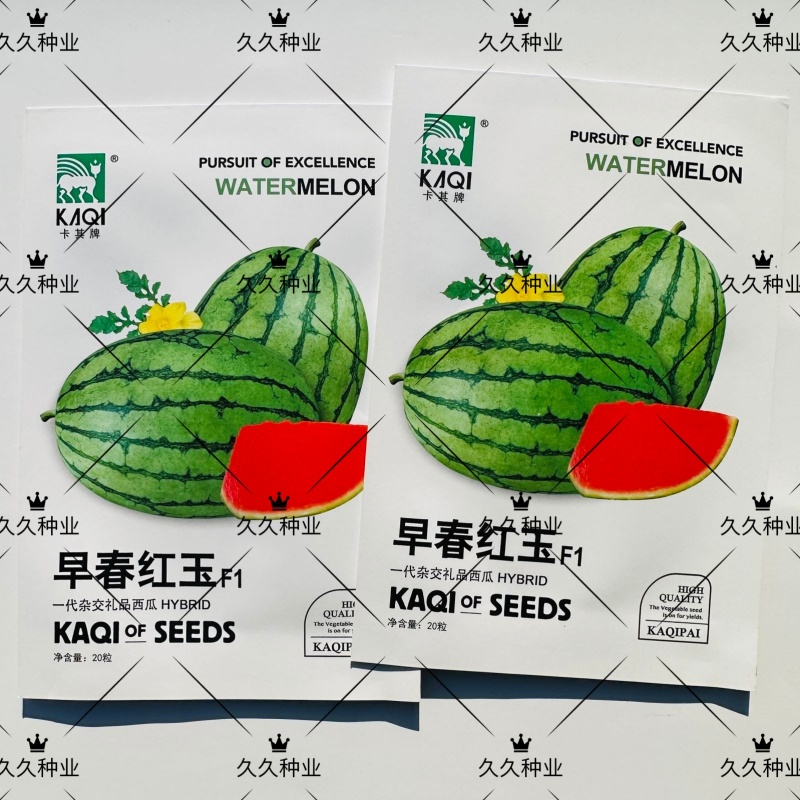 早春红玉西瓜种子高产甜早熟皮薄蔬菜种子四季播小西瓜种子