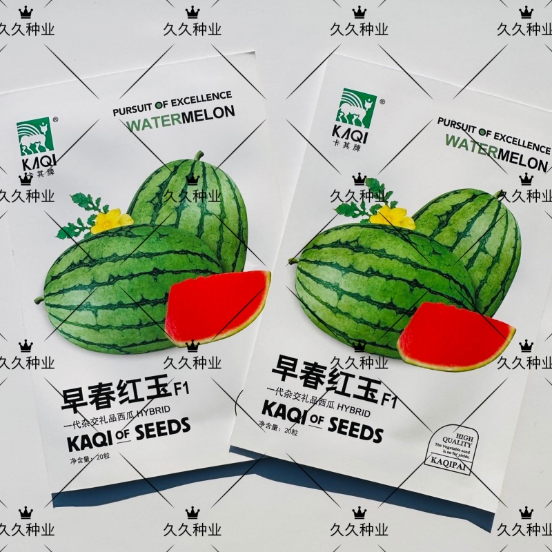 早春红玉西瓜种子高产甜早熟皮薄蔬菜种子四季播小西瓜种子