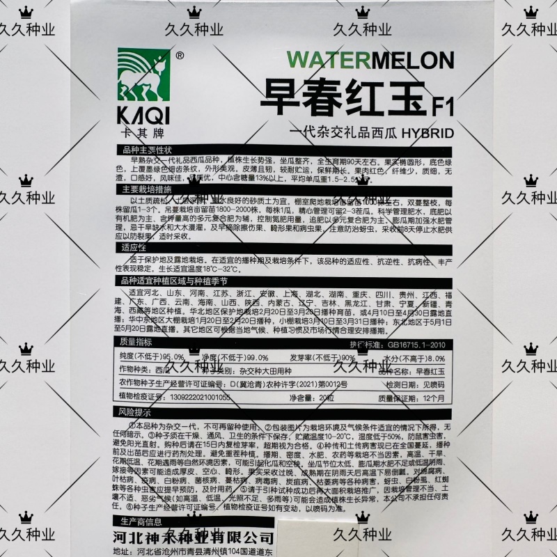 早春红玉西瓜种子高产甜早熟皮薄蔬菜种子四季播小西瓜种子