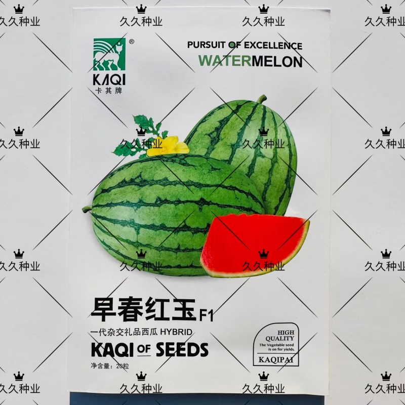早春红玉西瓜种子高产甜早熟皮薄蔬菜种子四季播小西瓜种子