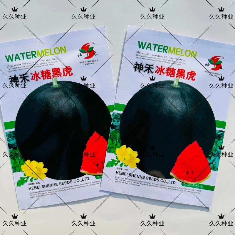 冰糖黑虎西瓜种子春夏播种中早熟薄皮黑绿色西瓜种籽耐重茬