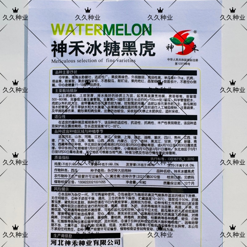 冰糖黑虎西瓜种子春夏播种中早熟薄皮黑绿色西瓜种籽耐重茬
