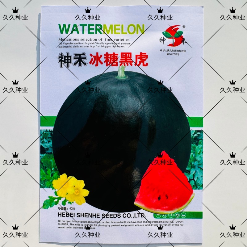 冰糖黑虎西瓜种子春夏播种中早熟薄皮黑绿色西瓜种籽耐重茬