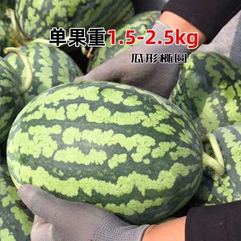 卡其牌甜美2K西瓜种子特甜一代杂交礼品西瓜种籽花皮红肉皮