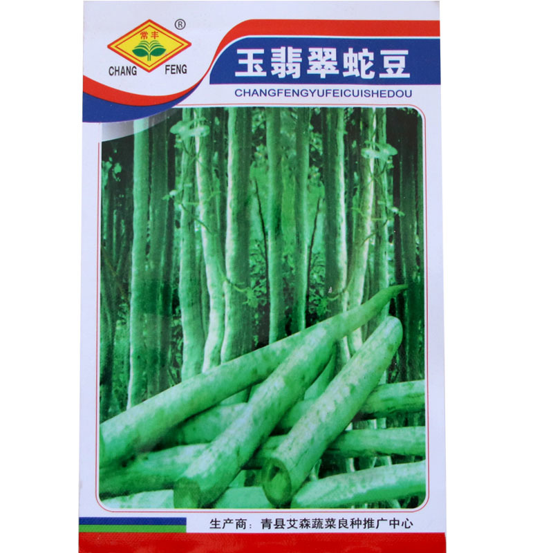 蛇豆角爬藤长廊口感好春秋季种植