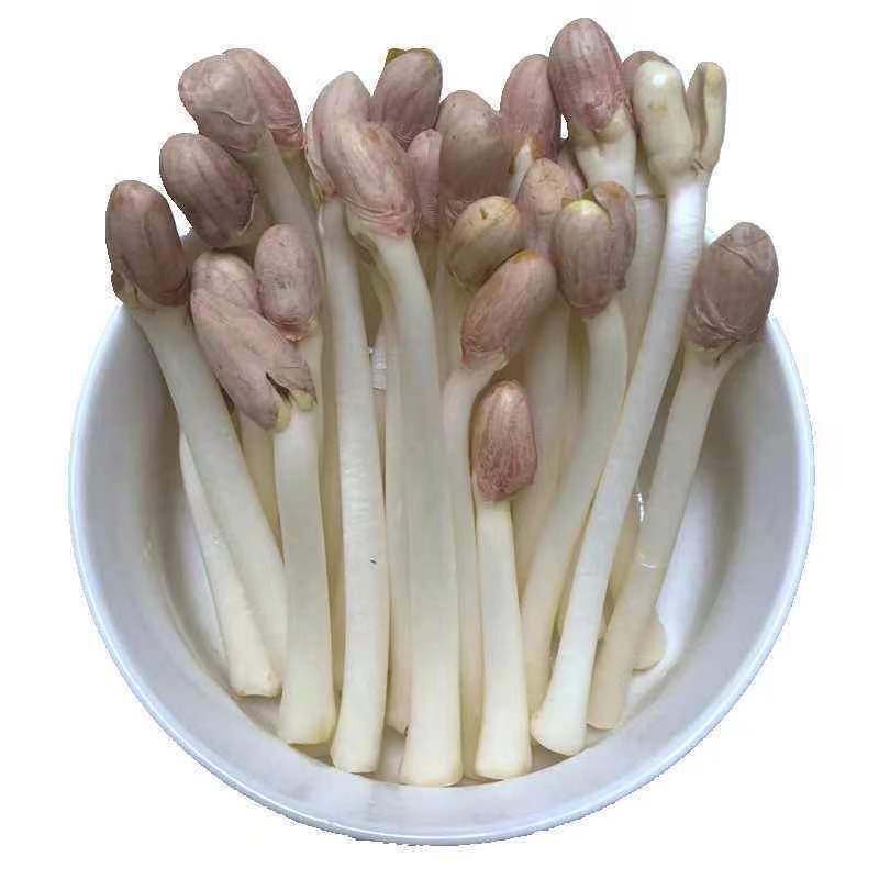 河南精品花生芽大量批发，货源充足稳定，对接大型采购商