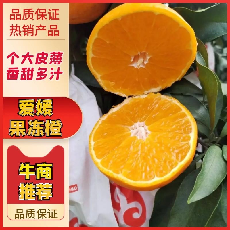 【热卖】优质供货电商，爱媛果冻橙38号，货源充足，价格优