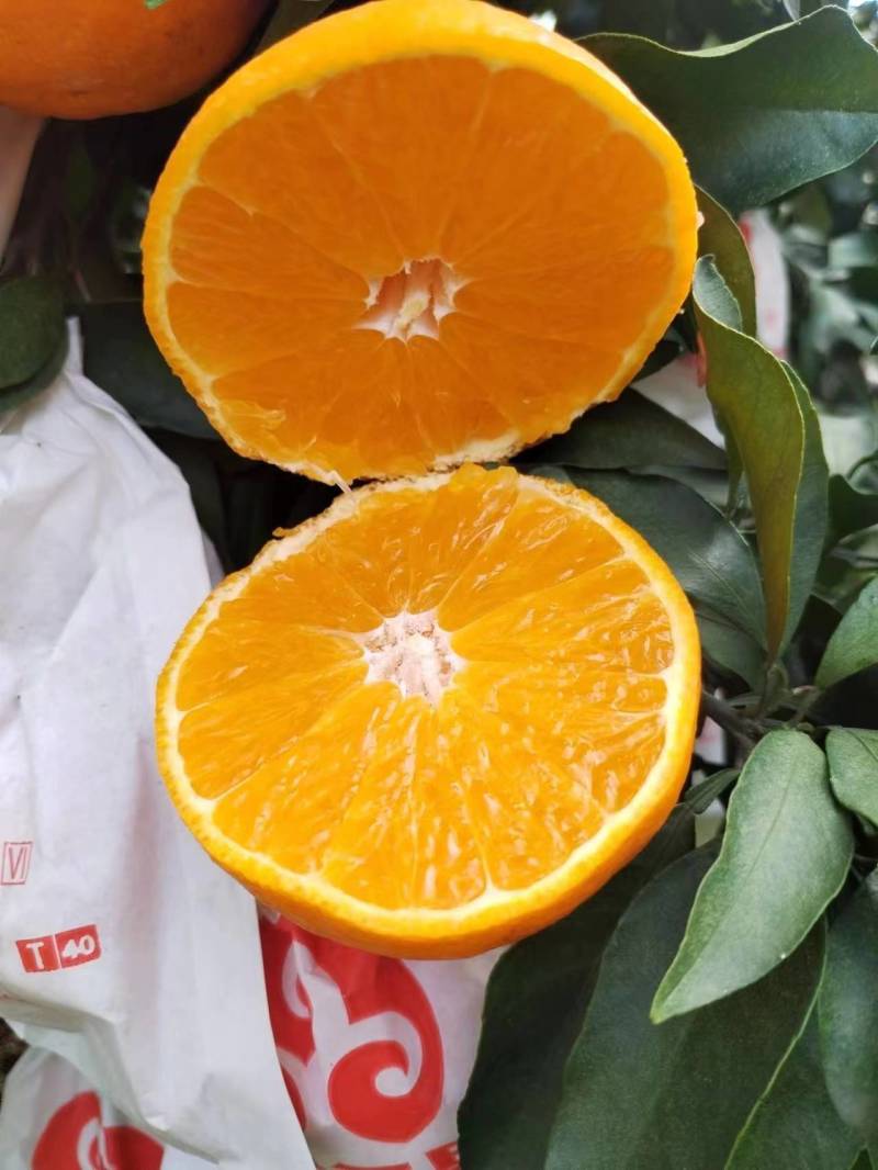 【热卖】优质供货电商，爱媛果冻橙38号，货源充足，价格优