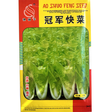 冠军快菜种子耐寒耐抽苔速生奶油四季小白菜大田种植