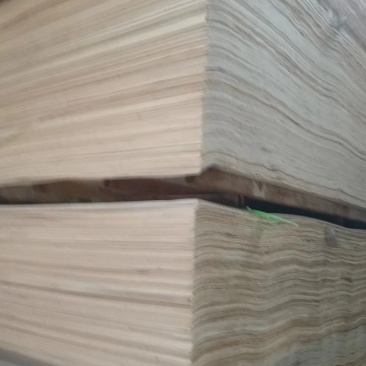 常年出售板皮子，让质量谈合作！寻找长期合作客户，欢迎咨询