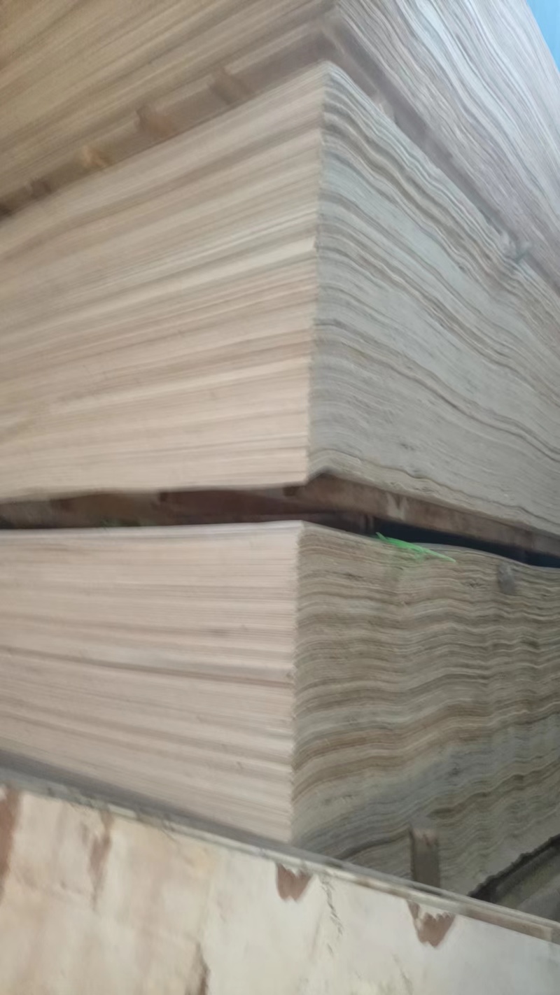常年出售板皮子，让质量谈合作！寻找长期合作客户，欢迎咨询