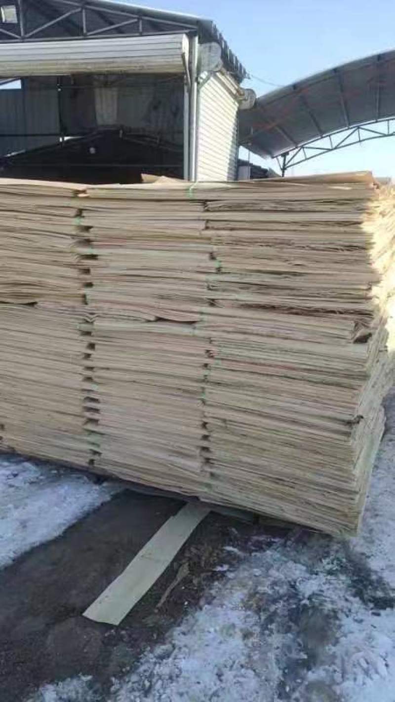 常年出售板皮子，让质量谈合作！寻找长期合作客户，欢迎咨询