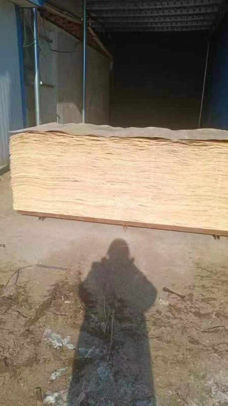 常年出售板皮子，让质量谈合作！寻找长期合作客户，欢迎咨询