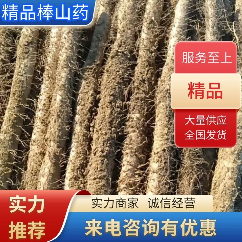 7890有长度有粗度棒山药，香糯面甜欢迎各位老板骚扰