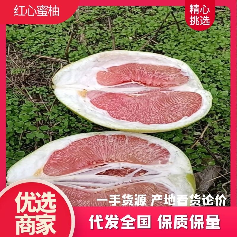 【热卖】优质供货电商，福建霞浦，红心蜜柚，货源充足，价优