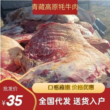 【推荐】优质恭候电商，现宰青海牦牛肉，一手货源，价格优惠