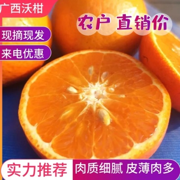 【热卖】优质供货电商，广西沃柑，全国代发，欢迎老板**