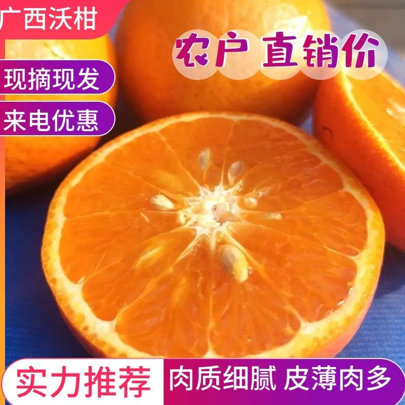 【热卖】优质供货电商，广西沃柑，全国代发，欢迎老板**