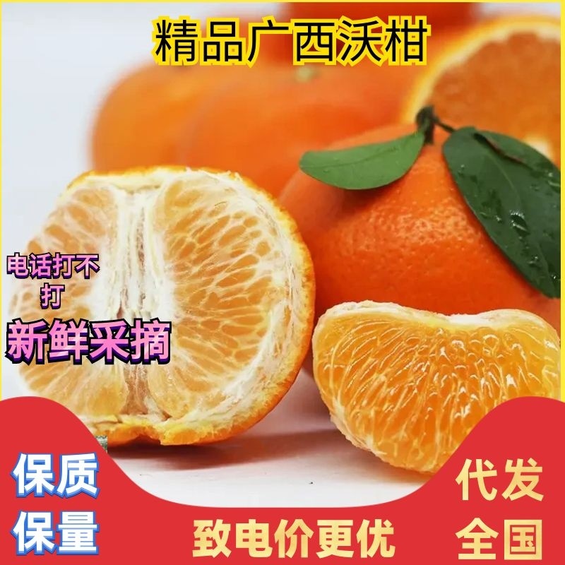 【热卖】优质供货电商，广西沃柑，全国代发，欢迎老板**