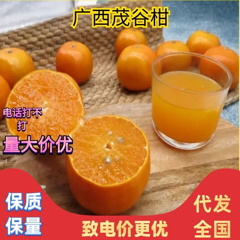 【精选】优质供货电商，茂谷柑，广西来宾，货量充足，价格优