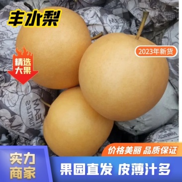 【精品】安徽万亩基地丰水梨果形端正全国发货来电优惠