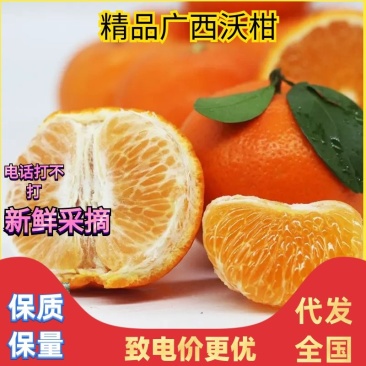 【HOT】优质供货电商，沃泔，广西来宾，质量保证，价格优