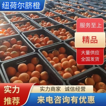 纽荷尔脐橙，大量有货，产地一手货源，对接大型批发欢迎来电